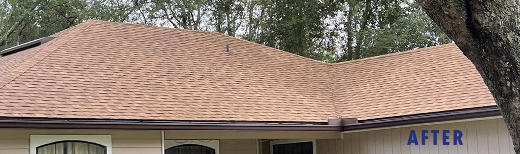 roof cleaned with softwash