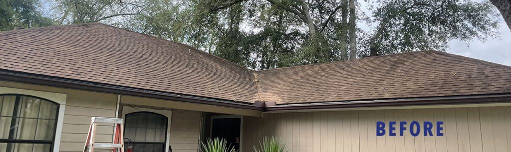 roof covered with mildew and algae